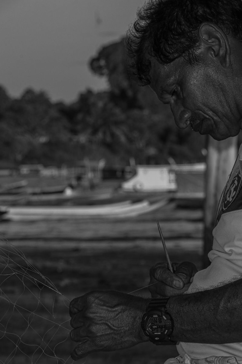  <div class='credito_fotos'>Foto: JADER PAES / AG. PARÁ   |   <a href='/midias/2024/originais/2880_542a21ce-5b2e-1cdd-2a29-678f967ef2ab.jpg' download><i class='fa-solid fa-download'></i> Download</a></div>