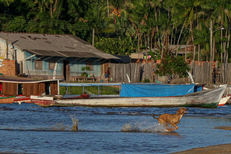  <div class='credito_fotos'>Foto: JADER PAES / AG. PARÁ   |   <a href='/midias/2024/originais/2880_a4e85020-435e-a3cd-236b-5ea5456bc358.jpg' download><i class='fa-solid fa-download'></i> Download</a></div>