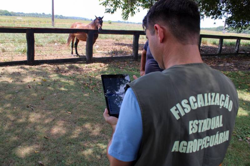 Servidores da Adepará em campo.jpg