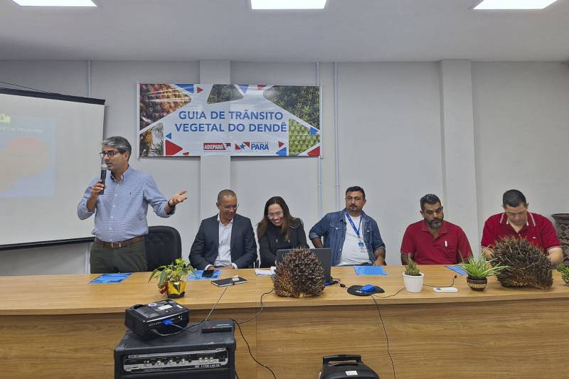 Vice -presidente da Abrapalma
