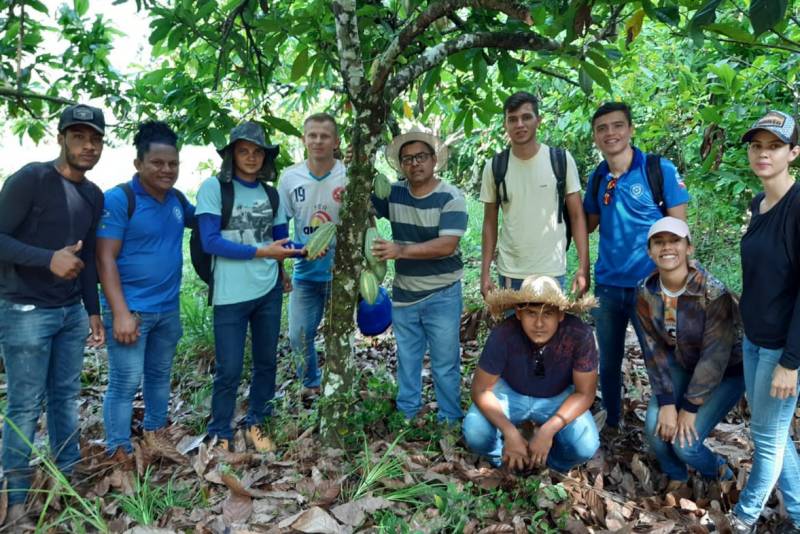 Agronomia em Rurópolis