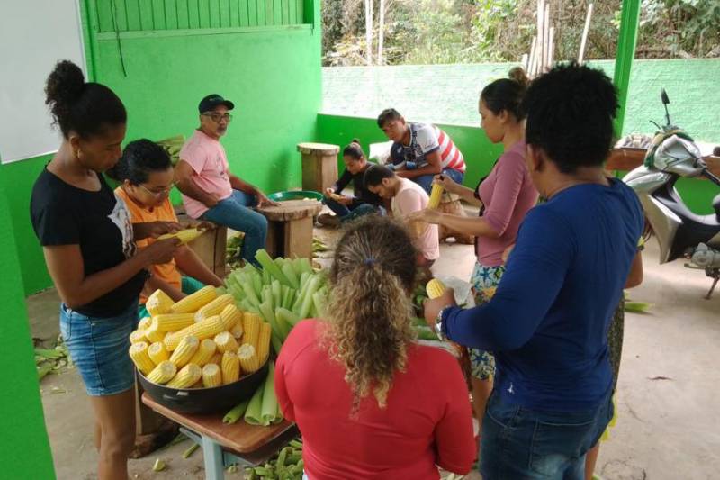 Agronomia em Rurópolis