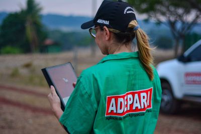 notícia: Pará completa um ano como área livre de aftosa e pecuária alcança novos mercados 