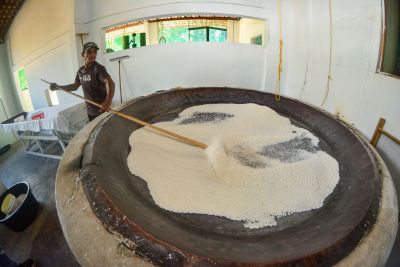 notícia: Casas de farinhas registradas pelo Governo do Estado movimentam a economia paraense