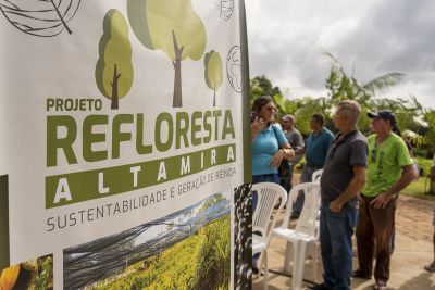 notícia: Governo do Pará viabiliza meio milhão de mudas para reflorestar áreas em Altamira