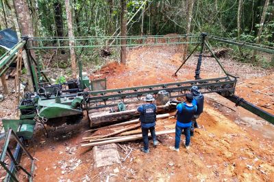 galeria: PCEPA na Operação Curupira