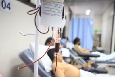 notícia: Da doação à distribuição: Hemopa assegura controle de qualidade no ‘trajeto do sangue’