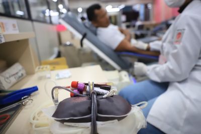 notícia: Hemopa amplia rede de coleta e registra aumento de 6% nas doações de sangue em 2024