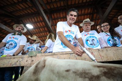 notícia: Governo do Estado abre oficialmente a última campanha de vacinação contra a febre aftosa em Marabá 