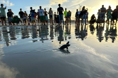 galeria: Ideflor-Bio promove ações de educação ambiental na Praia do Atalaia durante “Operação Verão 2024”