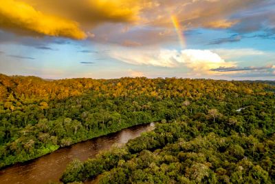 notícia: Com investimento de R$ 76 milhões, Iniciativa Amazônia+10 divulga resultado final da chamada Expedições Científicas