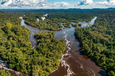 notícia: Divulgados aprovados para financiamento de projetos em mudanças climáticas com foco na juventude e comunidades tradicionais