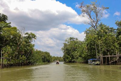 galeria: Acervo fotográfico Ideflor-Bio no Combu
