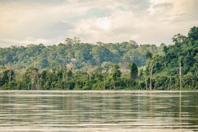notícia: Governo do Pará institui Comitê Estadual Intersetorial da Margem Equatorial