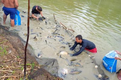 notícia: Emater planeja capacitar 2 mil pescadores artesanais no Pará