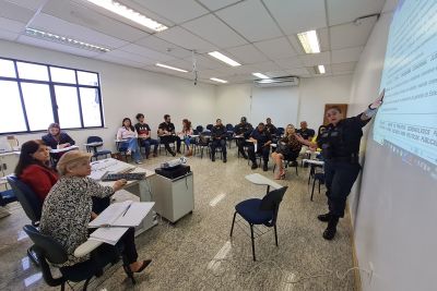 notícia: Secretaria de Estado das Mulheres reúne Câmara Técnica para alinhar ações sobre segurança