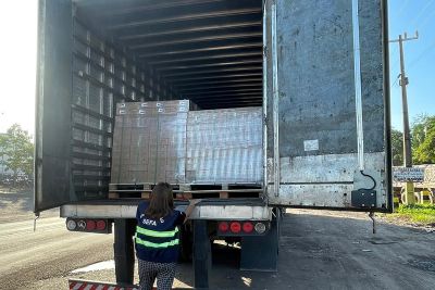 notícia: Equipe da Sefa apreende carga com mais de 52 mil itens em São João do Araguaia