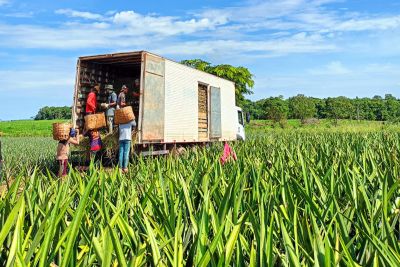 notícia: Rodadas de negócios promovidas pela Sedeme garantem a comercialização de produtos do cooperativismo