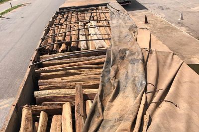 notícia: Sefa apreende 50 toneladas de madeira em Conceição do Araguaia