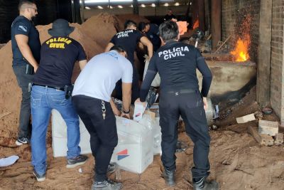 notícia: Entorpecentes apreendidos no Baixo Tocantins são incinerados