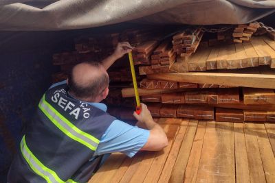 notícia: Sefa apreende 32 metros cúbicos de madeira serrada em Dom Eliseu 