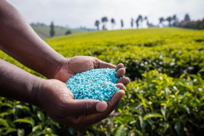 notícia: Codec promove aproximação entre empresas dos setores de fertilizantes e de mineração