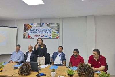 notícia: Guia de Trânsito  Vegetal do Dendê fortalecerá controle e sustentabilidade na cadeia produtiva no Pará