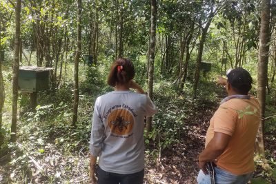 notícia: Fiscais agropecuários visitam apiários e meliponários em Viseu para cadastrar criadores