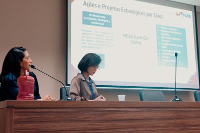 notícia: Reunião da Câmara Técnica de Meio Ambiente e Desenvolvimento Econômico alinha planejamento do Pará 2050