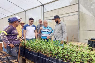 notícia: Sedap desenvolve projeto de inovação tecnológica da citricultura em Capitão Poço