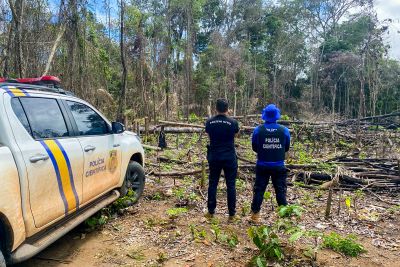 notícia: Nova etapa da Operação Fire distingue dano ambiental por laudo da perícia criminal