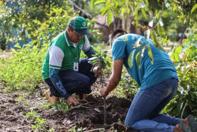 notícia: Estado investe no setor de produção rural e fortalece desenvolvimento econômico 