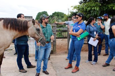 notícia: Veterinários são capacitados para atender diretrizes do programa de sanidade equídea