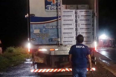 notícia: Sefa apreende seis toneladas de pescado no sudeste do Pará 