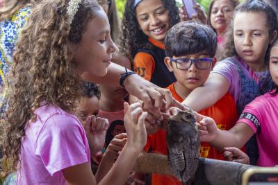 notícia: Mangal terá apresentação de ‘mini rapinantes’ e oficina de jardinagem ecológica no próximo domingo (24)