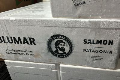 notícia: Sefa apreende 990 quilos de salmão importado em Santarém 