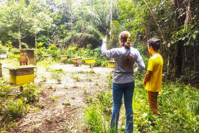 notícia: Adepará cadastra criadores de abelhas no município de Vigia no nordeste estadual