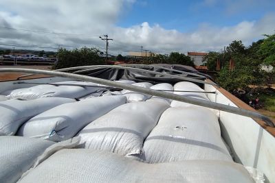 notícia: Sefa apreende 39 toneladas de sementes importadas em Dom Eliseu 
