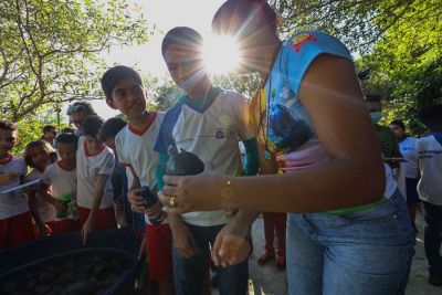 notícia: Estado regulamenta serviço voluntário em atividades ambientais do Ideflor-Bio