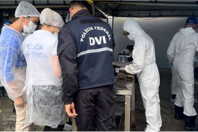 notícia: PCEPA realiza trabalho integrado com PF em caso de corpos encontrados dentro de embarcação em Bragança