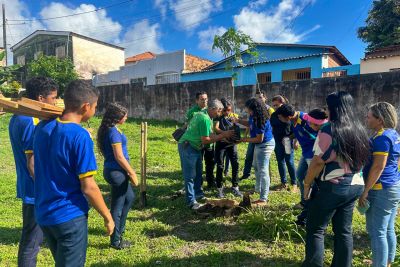 notícia: Ideflor-Bio realiza plantio de árvores em escola pública de Santarém