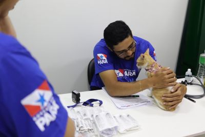 notícia: Polícia Civil e Seac promovem ação de saúde e bem-estar de pets e apuram denúncias de maus-tratos contra animais