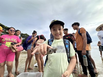 notícia: Ação integrada garante soltura de 100 quelônios em Ponta de Pedras no Marajó