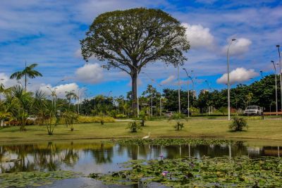 notícia: Programação especial celebra os 31 anos do Parque Estadual do Utinga