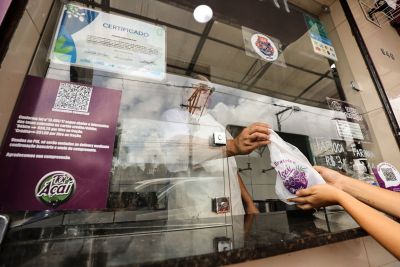 notícia: Sedap ofertará capacitação para batedor durante o festival do açaí