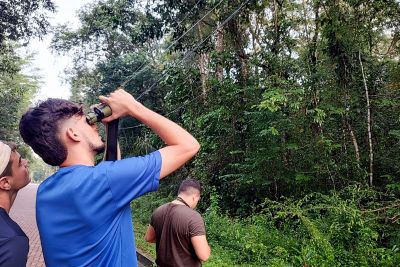 notícia: Parque Estadual do Utinga participa pela primeira vez do ‘evento Global Big Day’