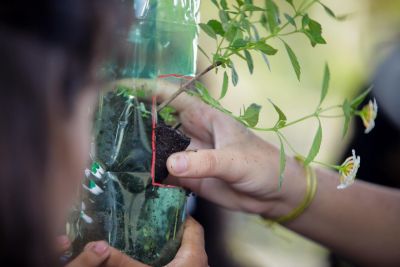 notícia: Escola estadual de Santarém desenvolve projeto de educação ambiental com foco na COP 30 