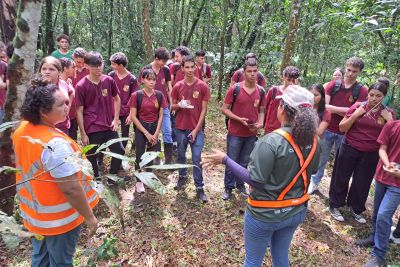 notícia: Estudantes visitam "Refúgio de Vida Silvestre Metrópole da Amazônia" para criação de nova trilha ecológica