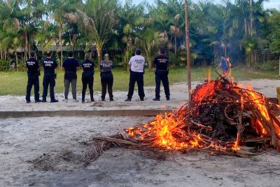 notícia: Polícia Civil apreende 5 toneladas de carnes de animais silvestres em Abaetetuba