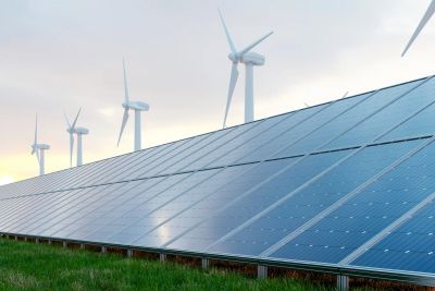 notícia: Codec apoia empresas comprometidas com atividades sustentáveis 